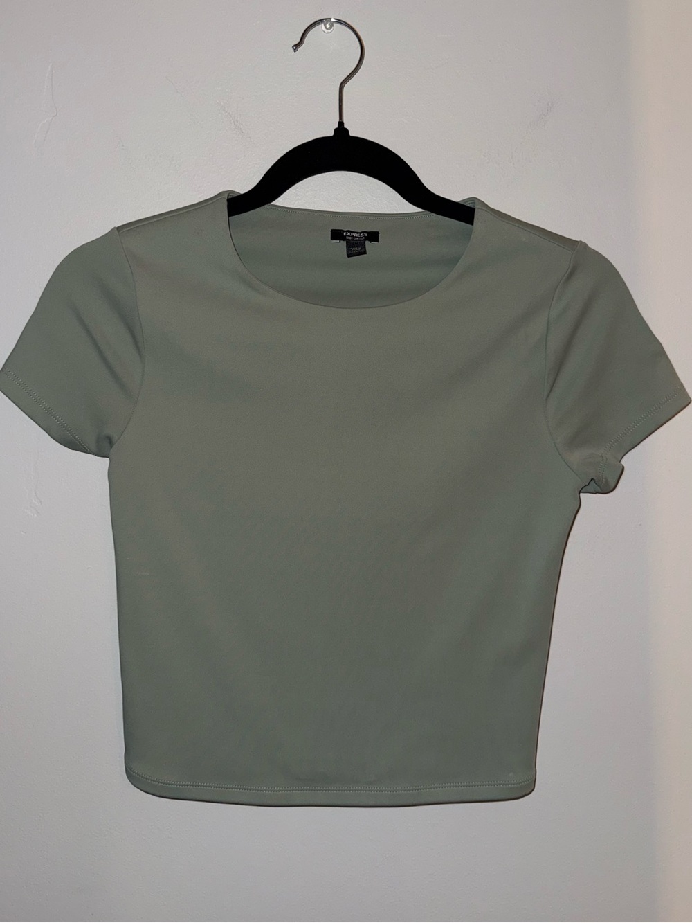 Express Short Sleeve Crewneck Top Body Contour Collection- Sage Green